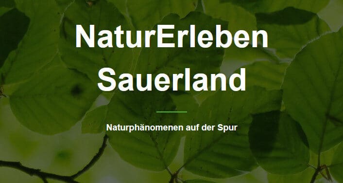 „Natur Erleben“ Sommerferien in Sundern