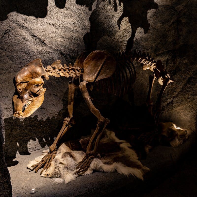 Taschenlampenführung Sauerland Museum